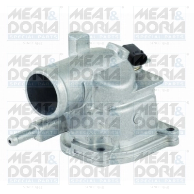 Thermostat, coolant